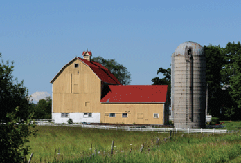 Parks barn summer