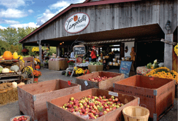 Campbell's Orchards