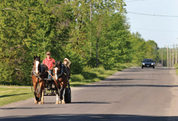 horse carriage